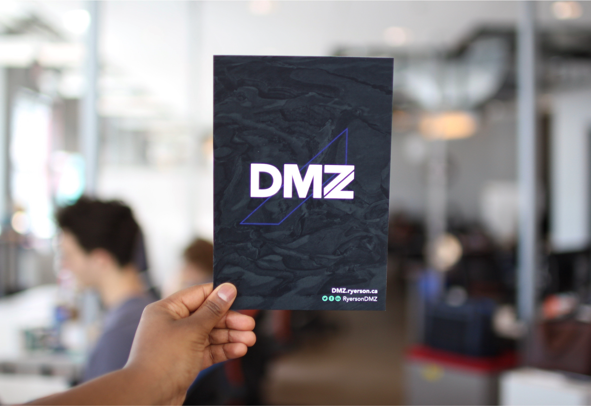 Portfolio-DMZ-17